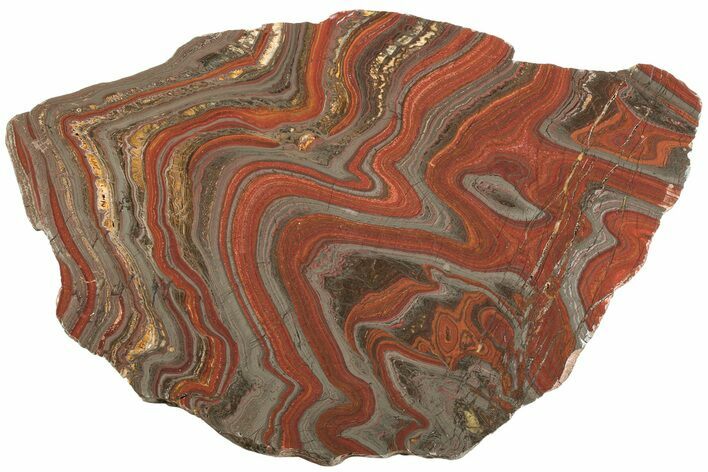 Polished Tiger Iron Stromatolite Slab - Billion Years #221834